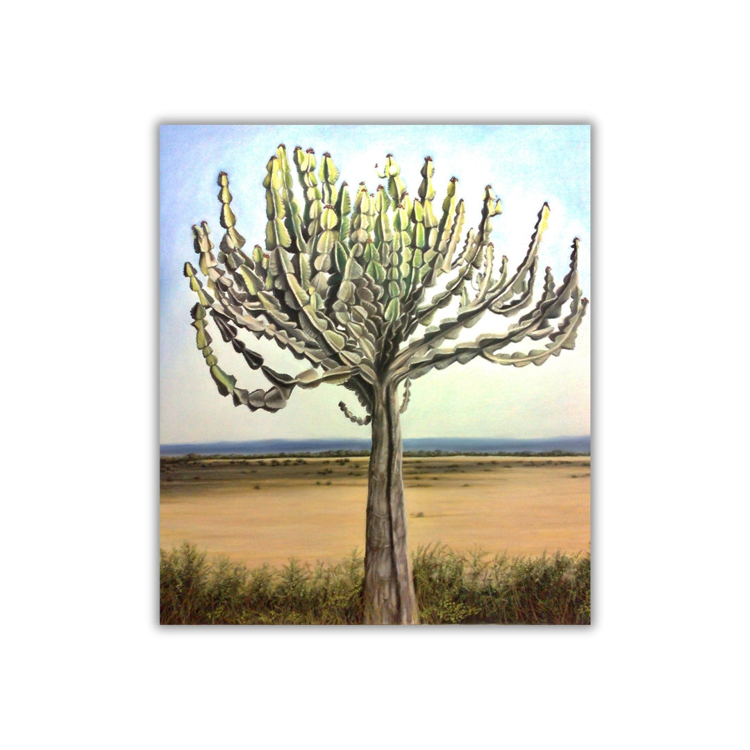 "Euphorbia, Kruger Park"