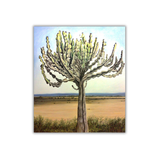 "Euphorbia, Kruger Park"