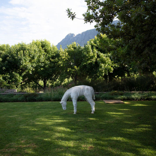 Art on Rolling Hills - Stellenbosch Visio