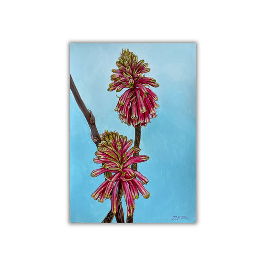 "Aloe Flowers I"