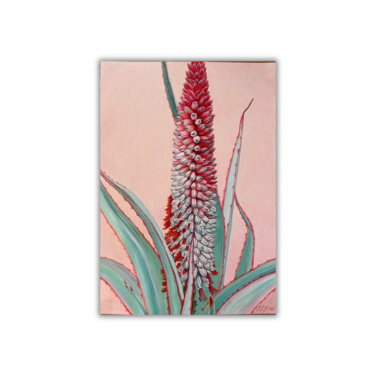 "Aloe Flowers II"