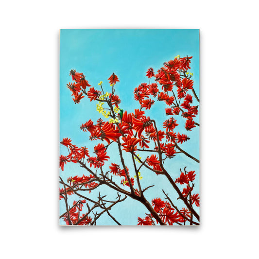 Sunbird In A Coral Tree