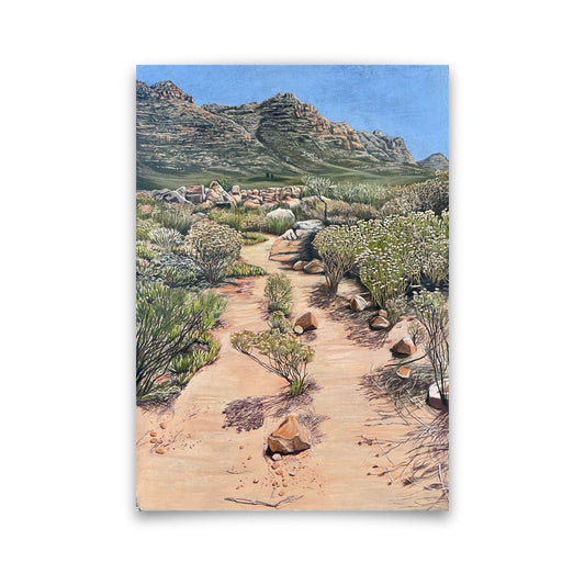 Pathway, Cederberg