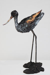 "Avocet"