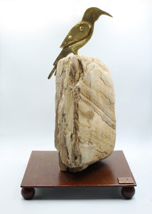 "Kaaimans Female Sugarbird"