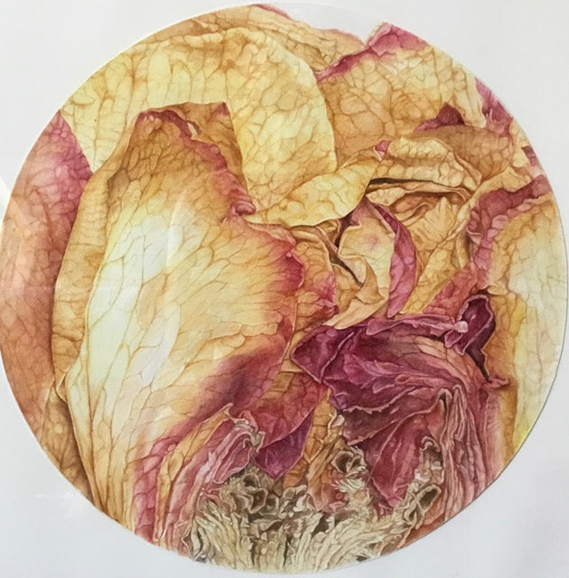 "Pressed Rose: Inner World"