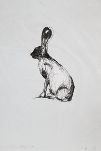 "Small bunny facing West"