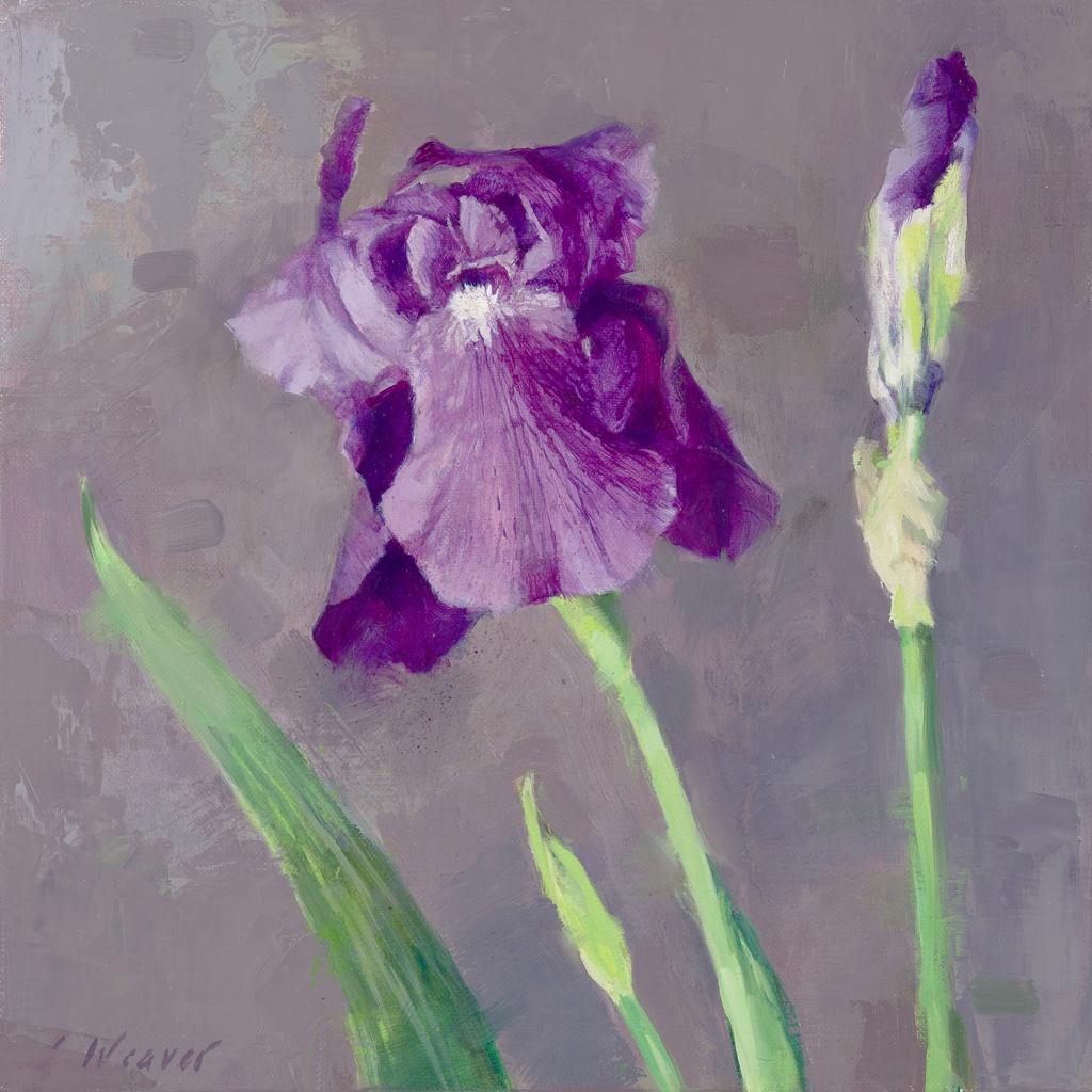 Mille Fleurs Series: Iris